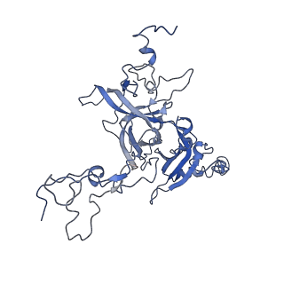 2644_3j7r_B_v1-4
Structure of the translating mammalian ribosome-Sec61 complex
