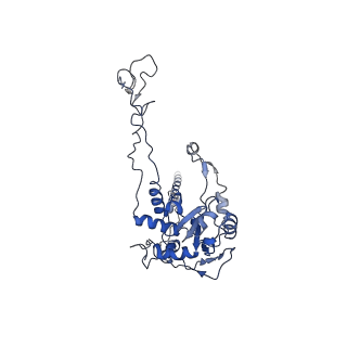 2644_3j7r_C_v1-4
Structure of the translating mammalian ribosome-Sec61 complex