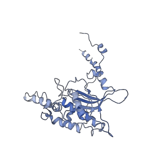 2644_3j7r_D_v1-4
Structure of the translating mammalian ribosome-Sec61 complex