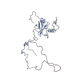 2644_3j7r_E_v1-4
Structure of the translating mammalian ribosome-Sec61 complex