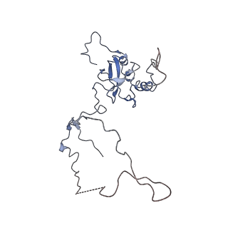 2644_3j7r_E_v2-0
Structure of the translating mammalian ribosome-Sec61 complex