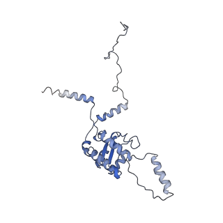 2644_3j7r_G_v1-4
Structure of the translating mammalian ribosome-Sec61 complex