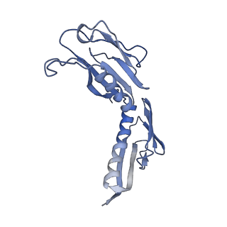 2644_3j7r_H_v1-4
Structure of the translating mammalian ribosome-Sec61 complex