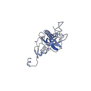 2644_3j7r_I_v1-4
Structure of the translating mammalian ribosome-Sec61 complex