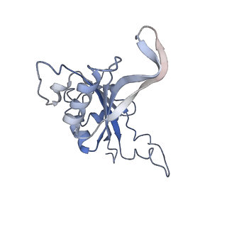 2644_3j7r_J_v1-4
Structure of the translating mammalian ribosome-Sec61 complex