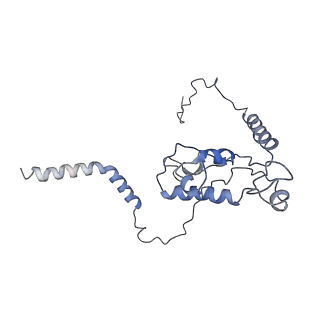 2644_3j7r_L_v1-4
Structure of the translating mammalian ribosome-Sec61 complex