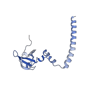 2644_3j7r_M_v2-0
Structure of the translating mammalian ribosome-Sec61 complex