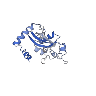 2644_3j7r_N_v1-4
Structure of the translating mammalian ribosome-Sec61 complex