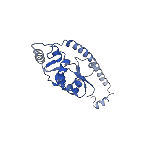 2644_3j7r_O_v1-4
Structure of the translating mammalian ribosome-Sec61 complex