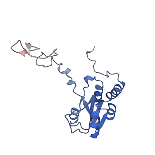 2644_3j7r_Q_v1-4
Structure of the translating mammalian ribosome-Sec61 complex