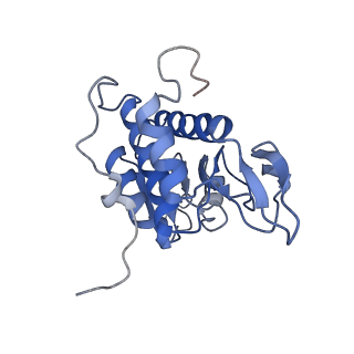 2644_3j7r_SA_v1-4
Structure of the translating mammalian ribosome-Sec61 complex