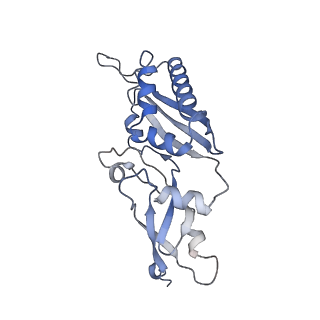 2644_3j7r_SB_v1-4
Structure of the translating mammalian ribosome-Sec61 complex