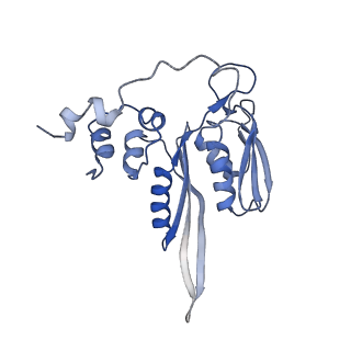 2644_3j7r_SC_v1-4
Structure of the translating mammalian ribosome-Sec61 complex