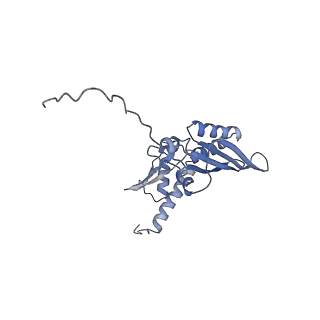 2644_3j7r_SD_v1-4
Structure of the translating mammalian ribosome-Sec61 complex