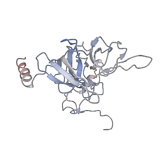 2644_3j7r_SE_v1-4
Structure of the translating mammalian ribosome-Sec61 complex