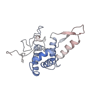 2644_3j7r_SF_v1-4
Structure of the translating mammalian ribosome-Sec61 complex