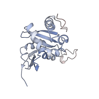 2644_3j7r_SH_v1-4
Structure of the translating mammalian ribosome-Sec61 complex