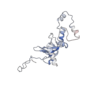 2644_3j7r_SI_v1-4
Structure of the translating mammalian ribosome-Sec61 complex
