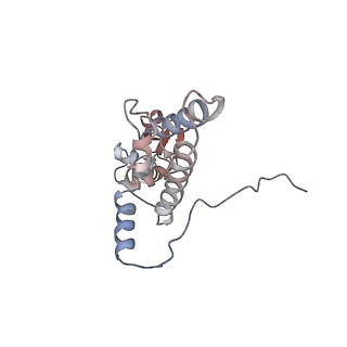 2644_3j7r_SJ_v1-4
Structure of the translating mammalian ribosome-Sec61 complex