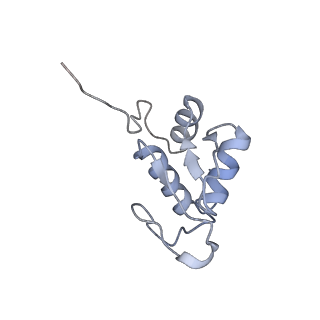 2644_3j7r_SK_v1-4
Structure of the translating mammalian ribosome-Sec61 complex