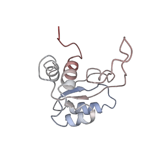 2644_3j7r_SM_v1-4
Structure of the translating mammalian ribosome-Sec61 complex