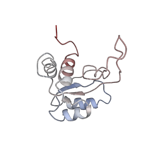 2644_3j7r_SM_v2-0
Structure of the translating mammalian ribosome-Sec61 complex