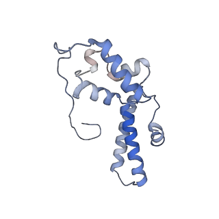 2644_3j7r_SN_v1-4
Structure of the translating mammalian ribosome-Sec61 complex