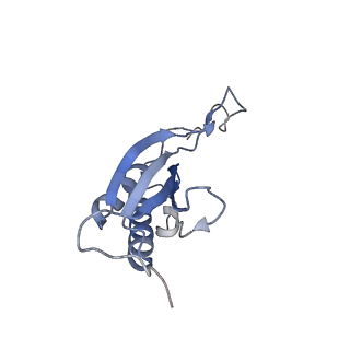 2644_3j7r_SO_v1-4
Structure of the translating mammalian ribosome-Sec61 complex