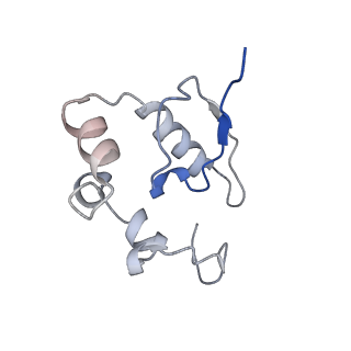 2644_3j7r_SP_v1-4
Structure of the translating mammalian ribosome-Sec61 complex