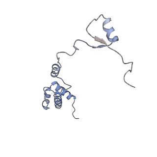 2644_3j7r_SR_v1-4
Structure of the translating mammalian ribosome-Sec61 complex