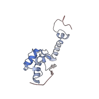 2644_3j7r_SS_v1-4
Structure of the translating mammalian ribosome-Sec61 complex
