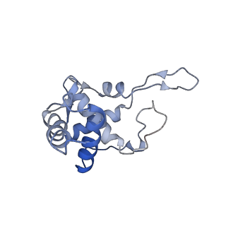 2644_3j7r_ST_v1-4
Structure of the translating mammalian ribosome-Sec61 complex