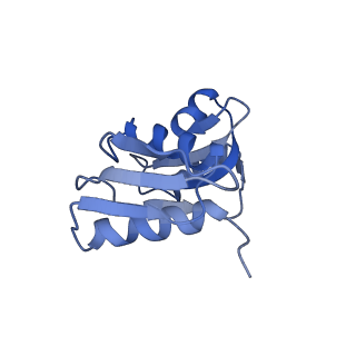 2644_3j7r_SW_v1-4
Structure of the translating mammalian ribosome-Sec61 complex