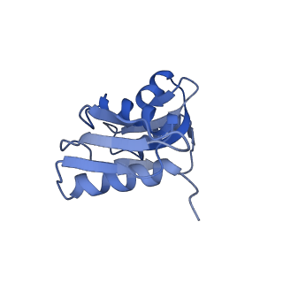 2644_3j7r_SW_v2-0
Structure of the translating mammalian ribosome-Sec61 complex