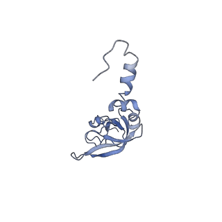 2644_3j7r_SX_v1-4
Structure of the translating mammalian ribosome-Sec61 complex