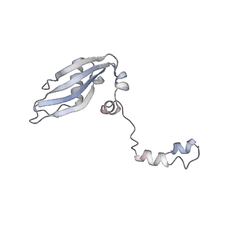 2644_3j7r_SY_v1-4
Structure of the translating mammalian ribosome-Sec61 complex