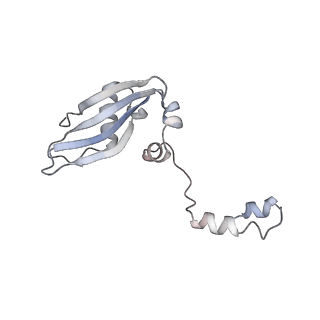 2644_3j7r_SY_v2-0
Structure of the translating mammalian ribosome-Sec61 complex