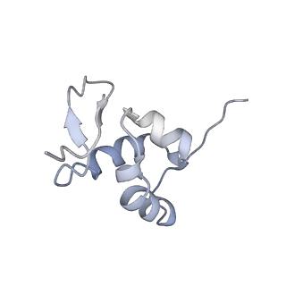 2644_3j7r_SZ_v1-4
Structure of the translating mammalian ribosome-Sec61 complex