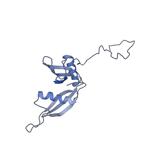 2644_3j7r_S_v1-4
Structure of the translating mammalian ribosome-Sec61 complex