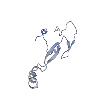 2644_3j7r_Sa_v1-4
Structure of the translating mammalian ribosome-Sec61 complex