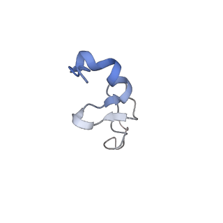 2644_3j7r_Sd_v1-4
Structure of the translating mammalian ribosome-Sec61 complex