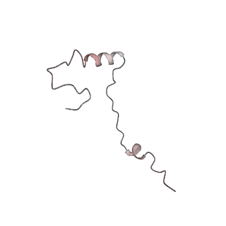 2644_3j7r_Se_v1-4
Structure of the translating mammalian ribosome-Sec61 complex