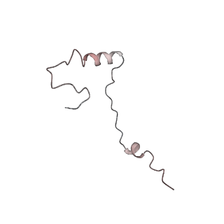 2644_3j7r_Se_v2-0
Structure of the translating mammalian ribosome-Sec61 complex