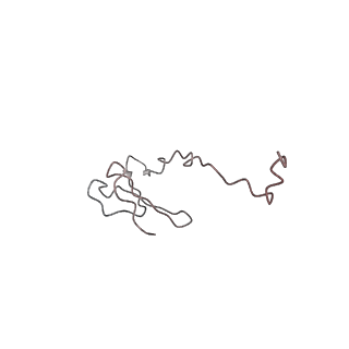 2644_3j7r_Sf_v1-4
Structure of the translating mammalian ribosome-Sec61 complex