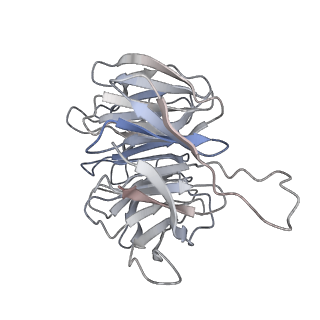 2644_3j7r_Sg_v1-4
Structure of the translating mammalian ribosome-Sec61 complex