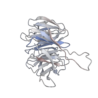 2644_3j7r_Sg_v2-0
Structure of the translating mammalian ribosome-Sec61 complex