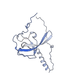 2644_3j7r_T_v1-4
Structure of the translating mammalian ribosome-Sec61 complex