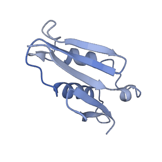 2644_3j7r_U_v1-4
Structure of the translating mammalian ribosome-Sec61 complex