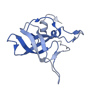 2644_3j7r_V_v1-4
Structure of the translating mammalian ribosome-Sec61 complex