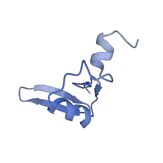 2644_3j7r_W_v1-4
Structure of the translating mammalian ribosome-Sec61 complex